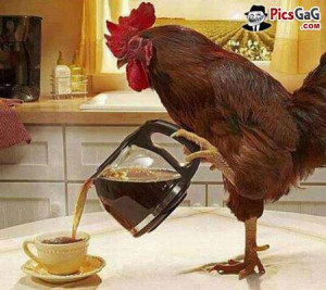 terms good morning coffee images funny gud mrng pics good morning ...