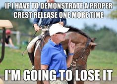 ... equestrian quotes horses humor equestrian stuff funny george morris