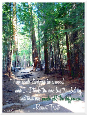 Robert Frost Quote Two roads diverged in a wood