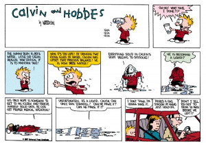 Calvin and Hobbes Quotes and Best Strips