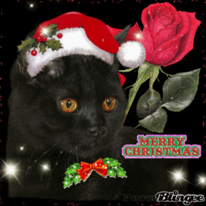 black cat christmas christmas black cat santa claus black cat holiday ...