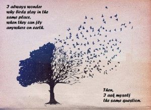 Favorite quotes, sayings, birds, place