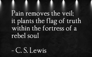 ... the flag of truth within the fortress of a rebel soul C. S. Lewis