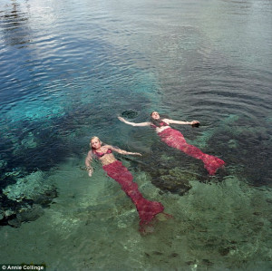 Meet the real-life mermaids: Inside the bizarre Florida theme park ...