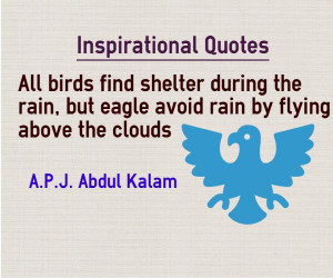 inspirational quotes birds find shelter during rain eagle fly over ...