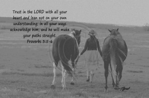 ... Quotes, Quotes Photography, Cowboy Quotes, Bullriding Quotes, Bible