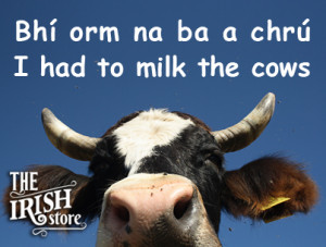 tis_ire_phrases12_milk_cows