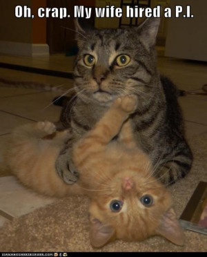 Cheating Cats “Feel free to share on Pinterest