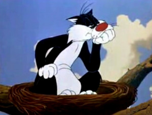 Poor Sylvester can't even catch a little Tweety Bird.
