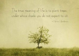 quote about trees