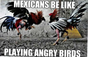 More Crazy Pictures And Funny Mexican
