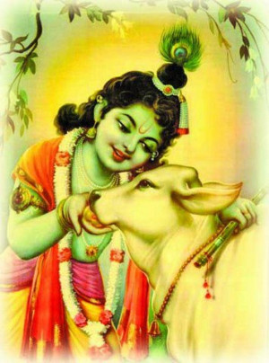 Suprabhatam and Jai Shri Krishna -18th Dec., 2012
