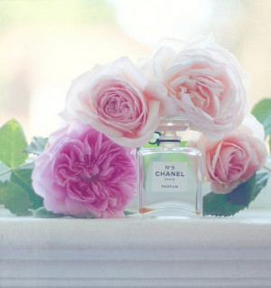 fragrance-chanel-no-5-flower-rose