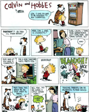 Calvin And Hobbes New Years