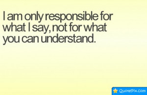 What I Am Responsible For Funny Pictures Funny Quotes Funny