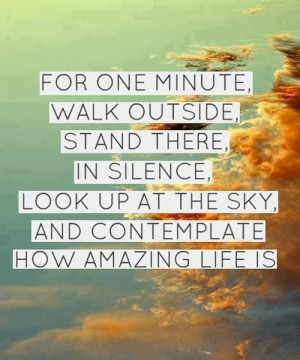 12 of the Best Gratitude Quotes + Picture Quotes