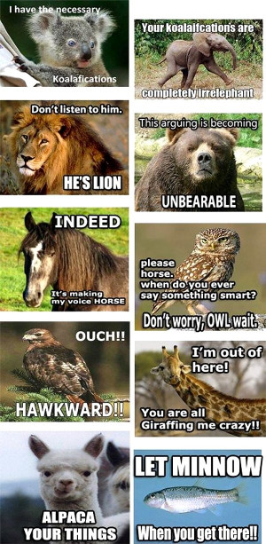 full conversation of terrible (as in, awesome) animal puns