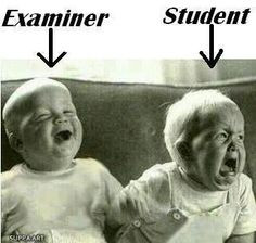 Exam Stress (Humorous Images)