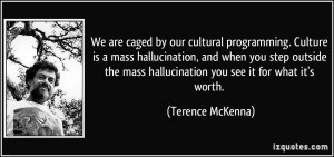 ... mass hallucination you see it for what it's worth. - Terence McKenna