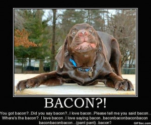 BLOG - Funny Bacon Quotes