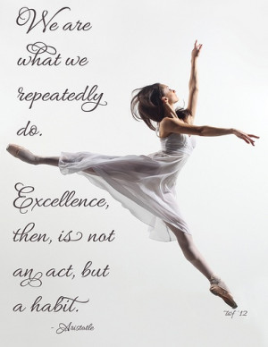 Excellence, Aristotle