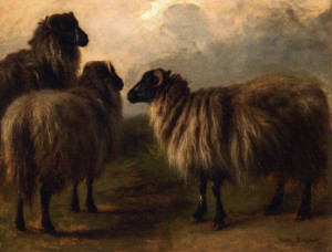 The Athenaeum - Three Wooly Sheep (Rosa Bonheur - )