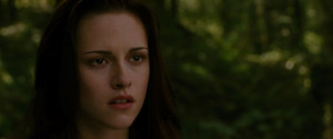 Edward Cullen: Ihave onecondition if you want me to do it myself.