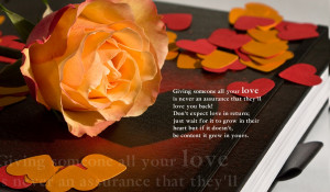 Giving Love Assurance Quotes Giving Someone As All Your Love Is Never ...