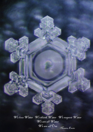 LIVING WATERS with EMOTO 2007 DVD