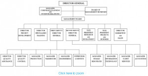 Related Pictures organizational structure of housekeeping