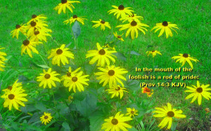 In The Mouth Of The Foolish Is A Rod Of Pride. ~ Bible Quote