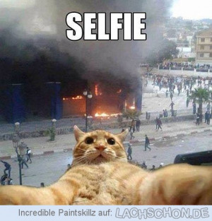 selfie - Katze,selfie,#selfie,trend,yolo,photo,internet,KC,Mietze ...