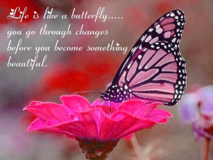 Life is like a Butterfly