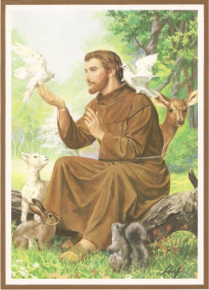 Ideas, St Francis, Quote, Jesus Christ, Saint Francis, St. Francis ...