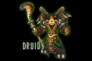 Image of Druid