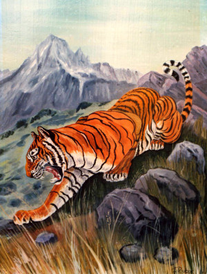 Calm Tiger Laughing Hunter