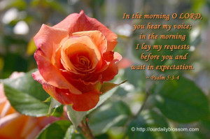 ... lay my requests before you and wait in expectation. ~ Psalm 5:3-4