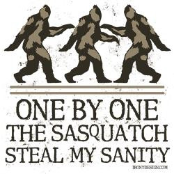 one_by_one_the_sasquatch_rectangle_magnet.jpg?height=250&width=250 ...