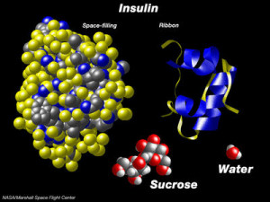 Image for insulin