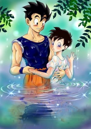 Gohan And Videl Dragon Ball...