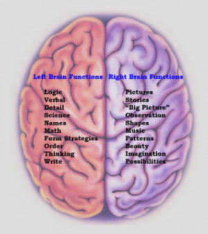 myth 1 left brained people are organized right brained people are ...