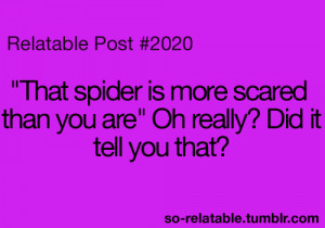 funny true true story spiders teen quotes relatable so relatable