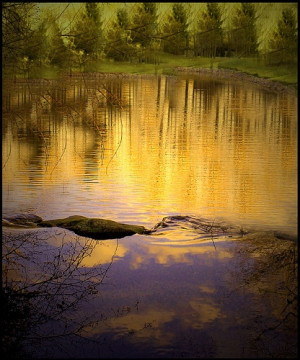 On golden pond
