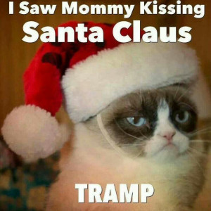 Grumpy Cat