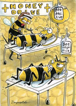 Honey Drive. Bee Positive. Bee Negative