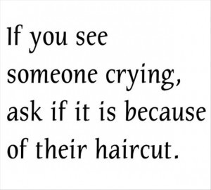 if you see someone crying, funny quotes