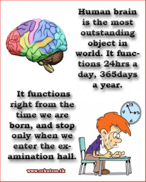 Exams \x26middot; No comments