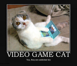 Video Game Cat