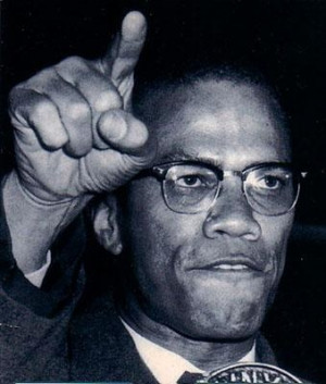 malcolm x and the black panthers malcolm x was another human rights ...