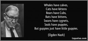 Whales have calves, Cats have kittens Bears have Cubs, Bats have ...